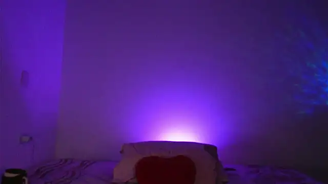 Snapshot of halsey1_ chatting on 10.30.25 halsey1  online show from 10.30.25