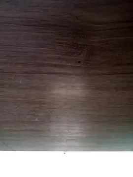 ValeriaLove43211 online show from 03.03.26