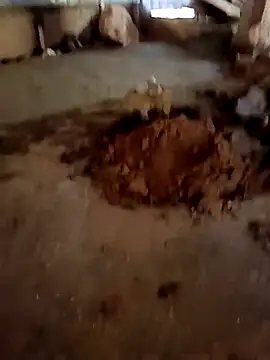 callistra online show from 01.13.26