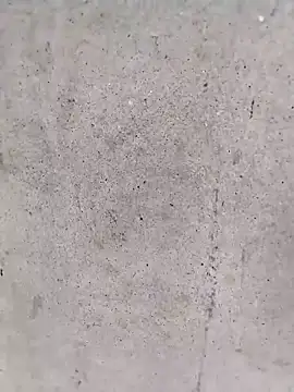 Biu xx online show from 02.24.26