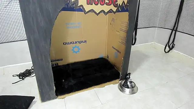 BDSM MEDUZA online show from 02.13.26