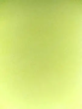 Snapshot of ipvk chatting on 04.07.26 ipvk online show from 04.07.26