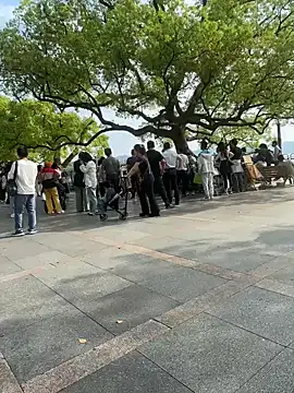 leeyoung  online show from 04.10.26