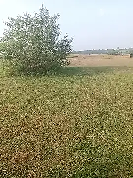 AgitatedStrip9 online show from 10.01.25