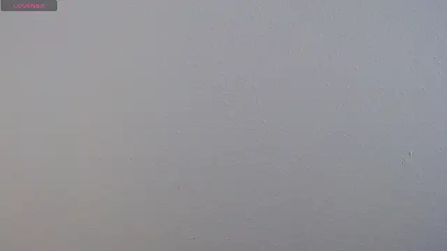 Camila Torresss online show from 12.01.25