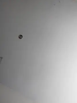 VIncent mimi online show from 11.17.25