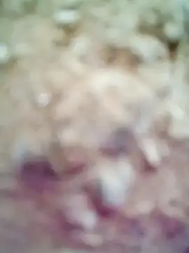 M-Kajal456 online show from 11.04.25