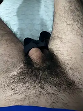 Snapshot of Mizo200 chatting on 11.08.25 Mizo200 online show from 11.08.25