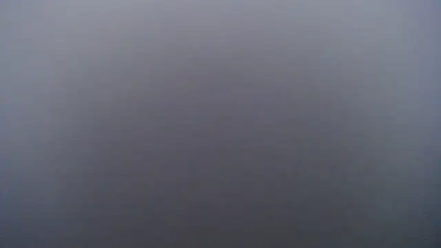 Juiceybileh online show from 02.01.26