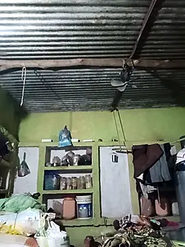 Snapshot of Haliya88 chatting on 10.06.25 Haliya88 online show from 10.06.25