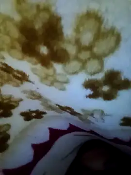 Snapshot of alone_boy802 chatting on 11.08.25 alone boy802 online show from 11.08.25