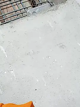 Rupali ji online show from 12.17.25