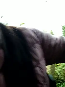 abigail-00 online show from 12.14.25