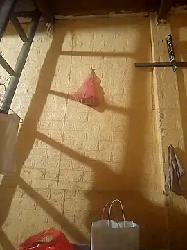 Snapshot of ruby-00 chatting on 09.24.25 ruby-00 online show from 09.24.25