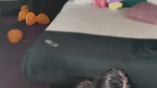 MeganSin  online show from 11.06.25