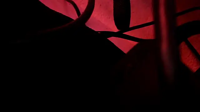 Snapshot of zakura_Haruno chatting on 10.30.25 zakura Haruno online show from 10.30.25