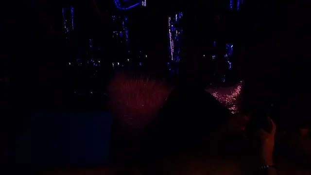 big bearr online show from 10.05.25