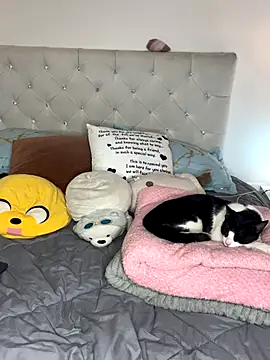 Snapshot of sunnymoonn_1 chatting on 10.02.25 sunnymoonn 1 online show from 10.02.25