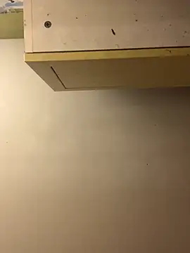 chtentation online show from 12.15.25