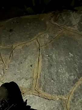 gptre online show from 09.30.25