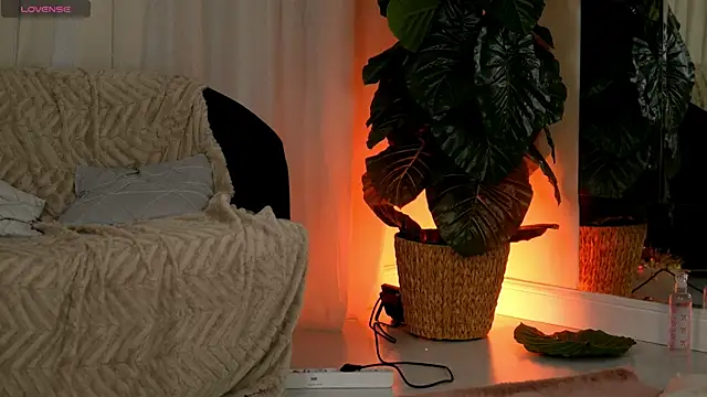 EvaAmanti online show from 01.11.26