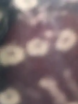 Na shreya online show from 04.05.26