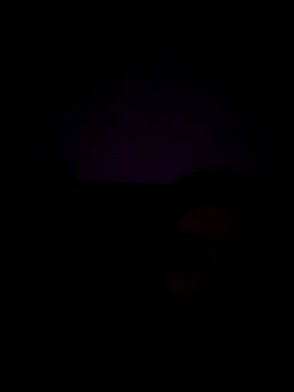 Snapshot of haze1233 chatting on 10.29.25 haze1233 online show from 10.29.25