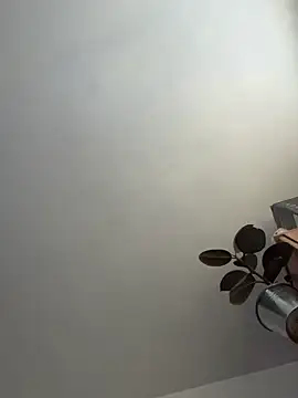 UnitedMap1 online show from 11.20.25