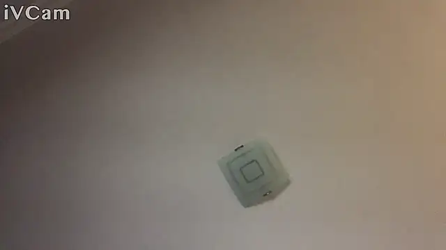 XxvanxX online show from 11.14.25