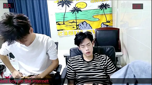 stripcha-798 online show from 11.08.25