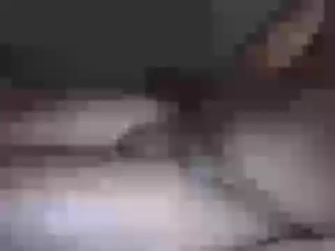 Hhhggghrrr3219 online show from 03.17.26