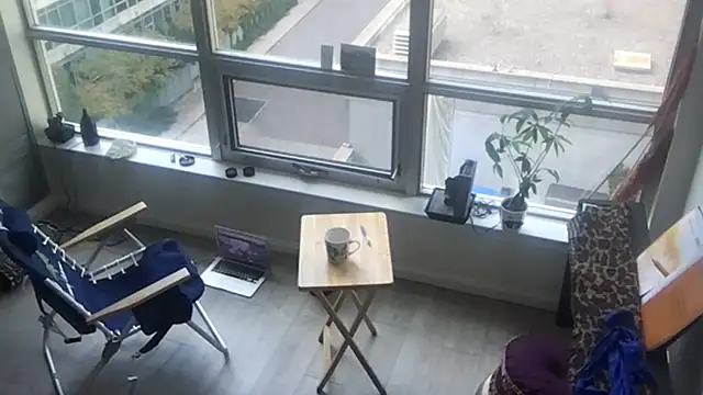 tia   fox online show from 10.29.25