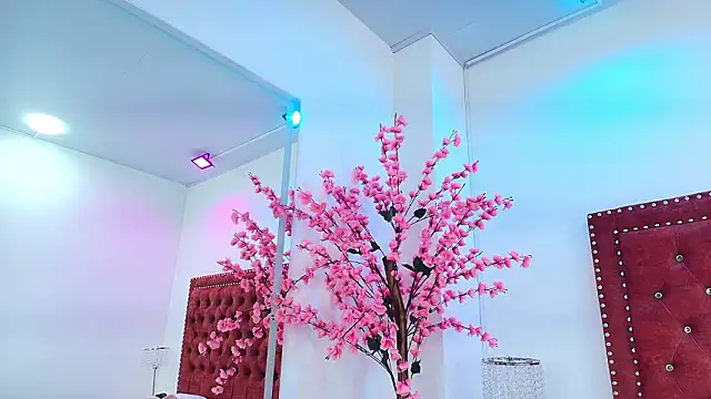 Gabriela milani online show from 02.04.26