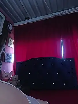 Snapshot of lizethavila chatting on 03.02.26 lizethavila online show from 03.02.26