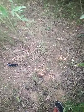 Aadityaaa07 online show from 11.11.25