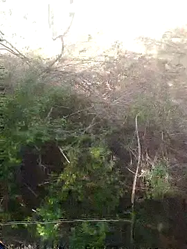 Aadityaaa07 online show from 04.11.26