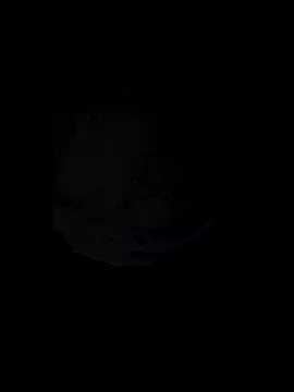 Snapshot of Curious9884 chatting on 10.04.25 Curious9884 online show from 10.04.25