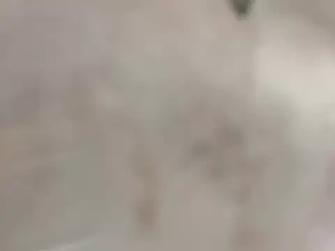 Cataleya Kudo online show from 10.20.25