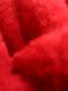 ProXydelhi online show from 02.07.26