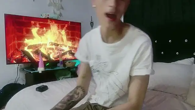 Tyler cat online show from 11.01.25