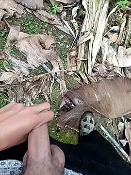 Sikici0734 online show from 11.13.25