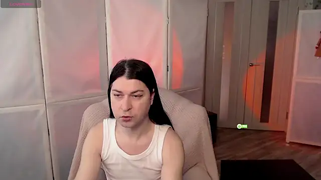 micromouse mo online show from 03.11.25