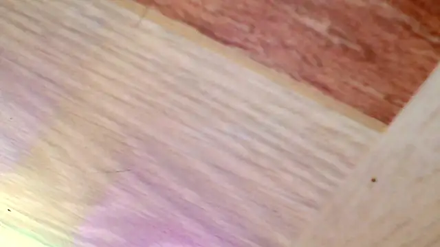 shannon kinne  online show from 03.31.26