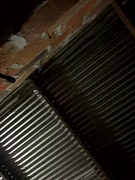 lady and charly online show from 01.19.26