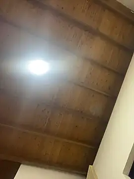 Nhefertary online show from 01.15.26