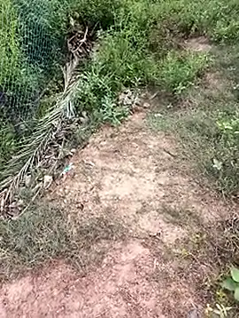 MalickKai online show from 10.14.25