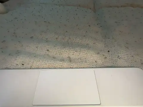 goddesemiiyy online show from 11.18.25