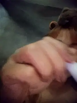 Rabbit-small online show from 03.20.26