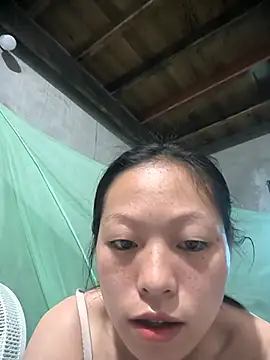 Zerin nova online show from 11.01.25