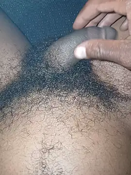 jhbswto online show from 03.16.26